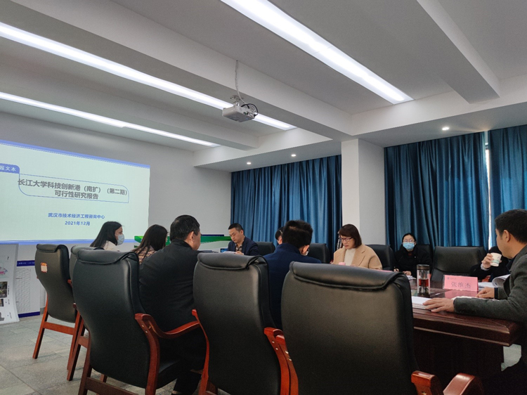 长江大学科技创新港(南扩)(第二期)项目