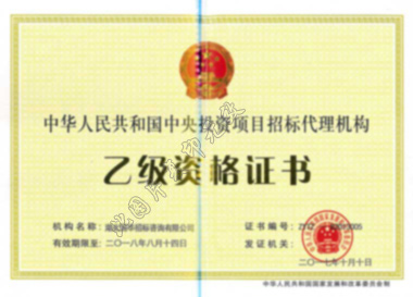 中央投资项目招标代理机构乙级资质