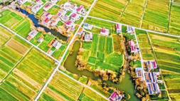 产业规划：兴山县农业综合开发“一县一特”产业发展三年规划